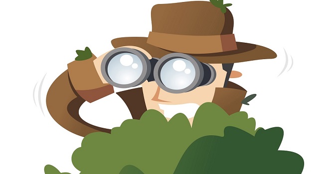 SpyFu Review – Keyword Analysis, Link Building, And All That Good Stuff