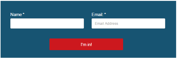 Ungrouped-Form-Fields-Pic