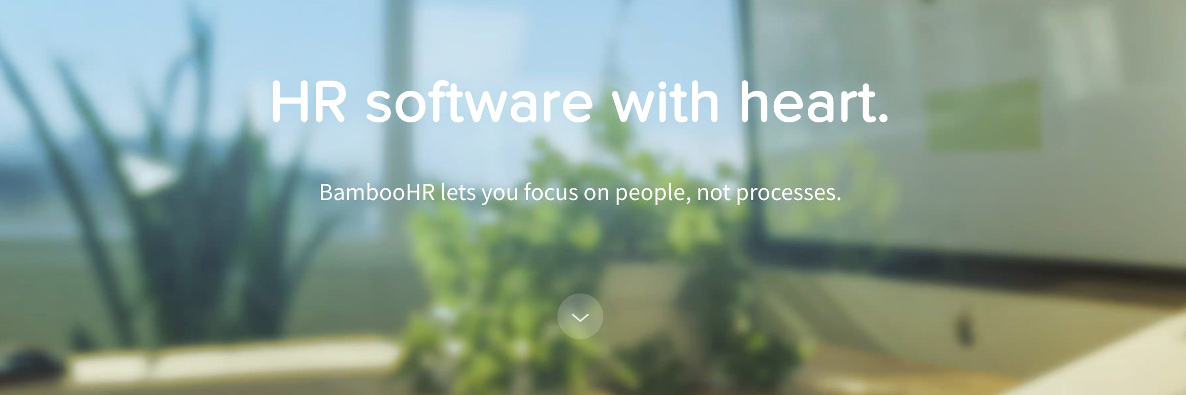 Transition From Traditional To Strategic HR Part 2