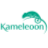 Kameleoon