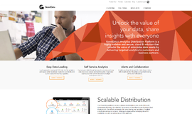 GoodData Business Intelligence App