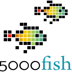 Yurbi Analytics Software App