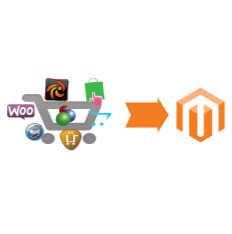 Magento migration tool Development Tools App