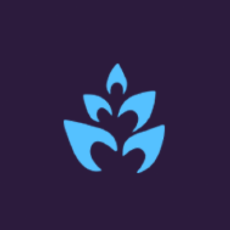 Conseris Data Visualization App