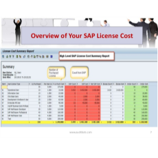 AuditBOT SAP License Saver for Sap License Optimization Information Technology App