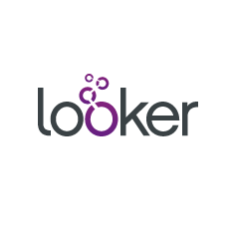 Looker Business Intelligence App