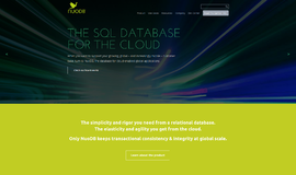 NuoDB Information Technology App