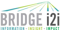 BRIDGEi2i Analytics Solutions