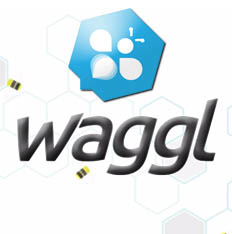 Waggl Knowledge Management App